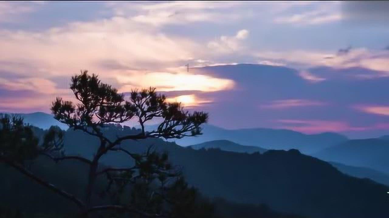 虫虫助手下载